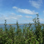 l'arcouest
