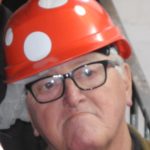 Les petites coccinelles