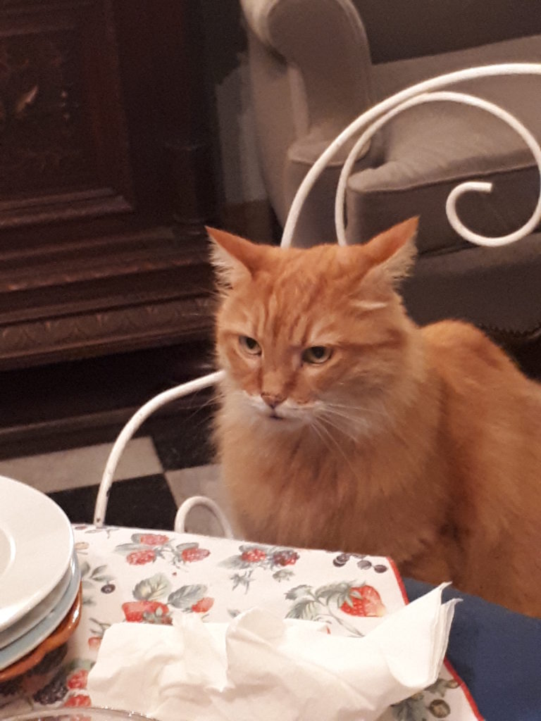 Paulo à table