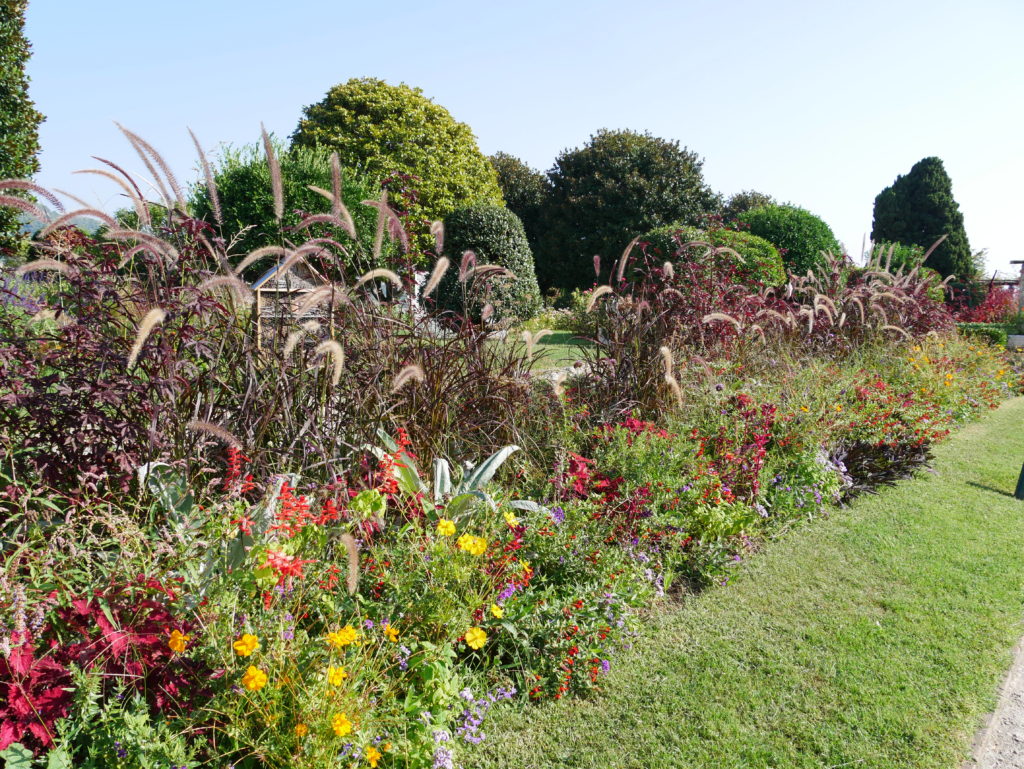 Jardins du musée Matisse